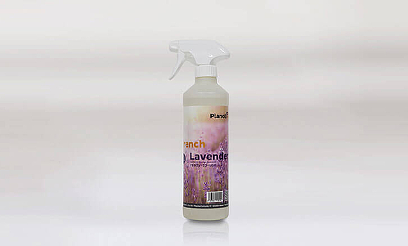 Duftöl „French Lavender“